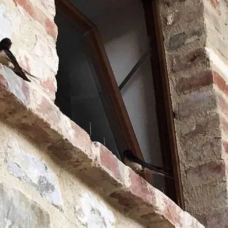 Villa - Casale De Conti San Venanzo